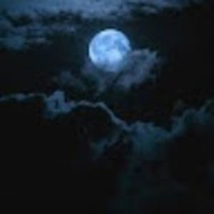 Meet your Posher, Gloria